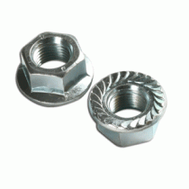 Flange Nuts