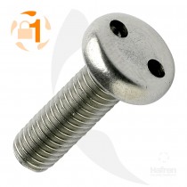 2-Hole Security Screws