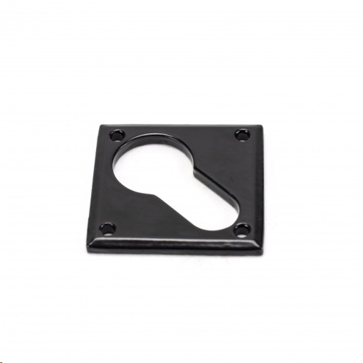 FTA 33236 BLACK DIAMOND EURO ESCUTCHEON