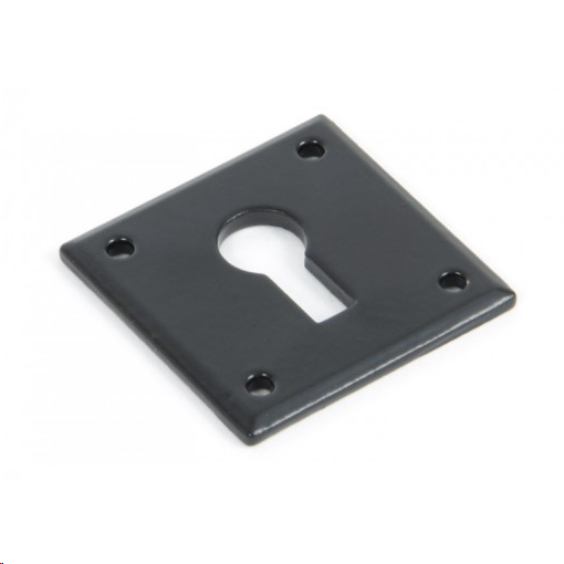 FTA 83657 BLACK AVON ESCUTCHEON