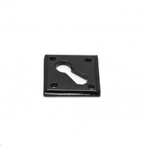 FTA 33965 BLACK DIAMOND ESCUTCHEON